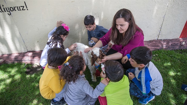 Children play with animals and feed them during their time at school