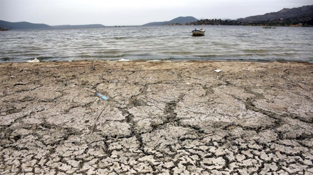 Bafa Gölü kuraklık tehlikesiyle karşı karşıya. 