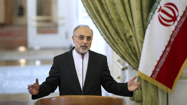 İran Atom Enerjisi Kurumu Başkanı Ali Ekber Salihi