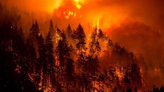 Oregon'da eylül ayında çıkan yangın günlerce söndürülememişti.