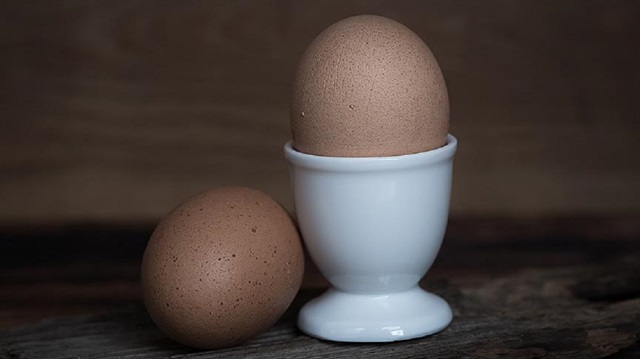 Yumurta, yüksek kaliteli protein, birçok vitamin, fosfolipid ve karotenoid gibi biyoaktif bileşenleri de içeriyor.
