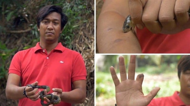 بالفيديو: فلبيني يدع الكوبرا تلدغه كل أسبوع لسبب غريب
