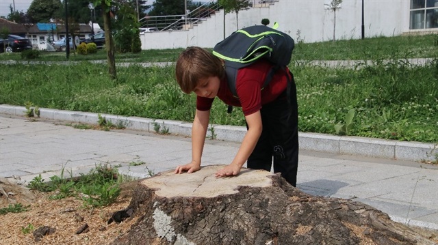 Doruk Tuzcu, mahalledeki ağacın kesilmesine üzülmüştü.