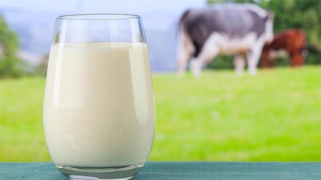 Türkiye'de geçen yıl kişi başına 256,2 kilo süt ve eşdeğeri ürün tüketildi.