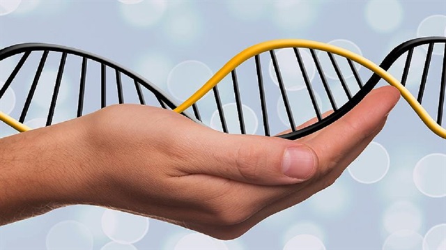 Araştırmacılar, DNA merkezli moleküler makinelerin ilk kez doğrudan ve gerçek zamanlı kontrolünü sağladı.

