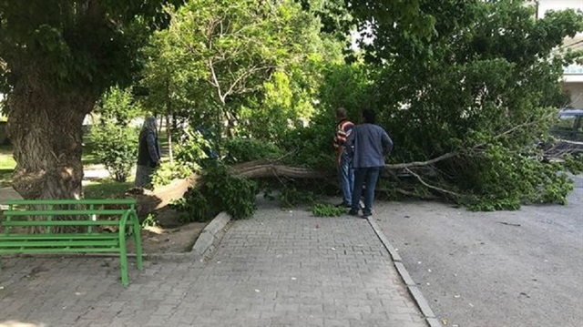 Kayseri'de ağacın dalları lüks aracın üzerine devrildi