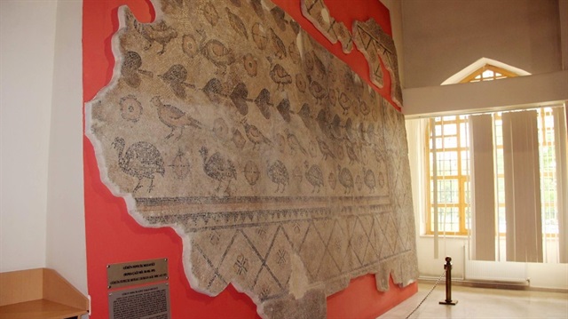 14 günlük çalışma sonucu hayvan dışkıları nedeniyle tahrip olan Roma dönemine ait taban mozaiği büyük bir titizlikle ahırın tabanından çıkarıldı. 