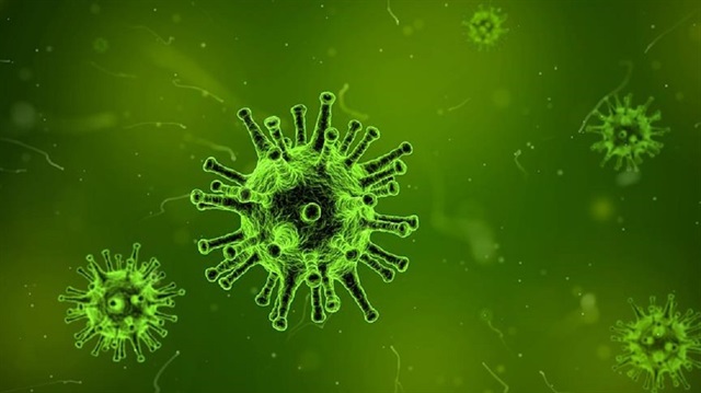 Malezya'da bir salgınla başlayan bu virüsün biyolojik silah olduğuna dair iddialar da bulunuyor.