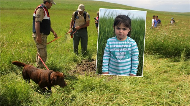 Küçük Leyla, kadavra ve ceset arama köpeğinin de katılımıyla aranıyor. 