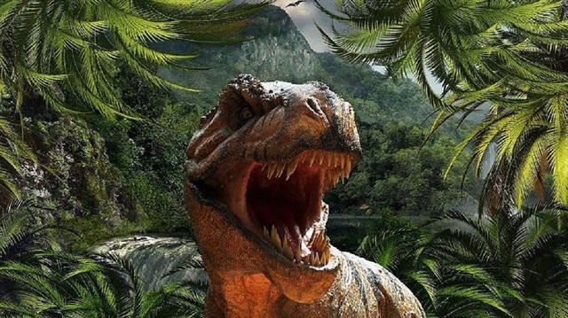 Profesör Julia Clarke, bulguların, dinozorları çeneleri arasından uzanan dilleriyle gösteren canlandırmaların gerçeği yansıtmadığını söyledi.