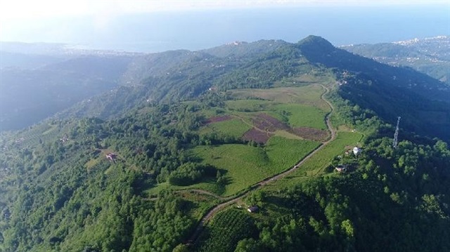 ​Trabzon’un Vakfıkebir ilçesinde düz yer bulunamayınca sanayi bölgesinin dağın tepesine yapılmasına karar verildi.