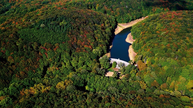 "Avrupa Yakası Uluslararası Kent Ormanı" Kemerburgaz'a kuruluyor.