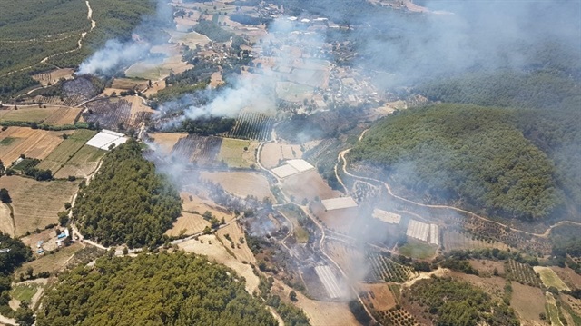 Yangın nedeniyle ormanlık alan ve tarım arazisi zarar gördü.