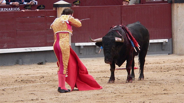 Matador Torero Alvaro Munera, kariyerini bitirme kararı verdi.