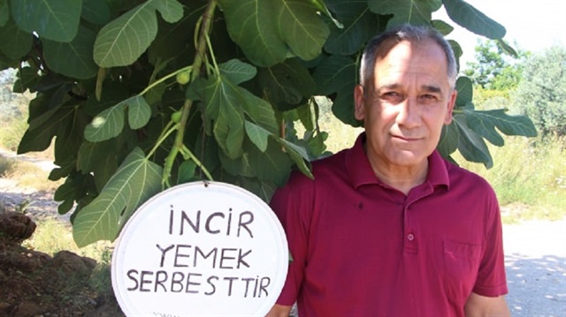 Ağacın üstüne "İncir tüketmek serbesttir” yazılı pankart asan 18 yıllık okul müdürü Erol Aytar.