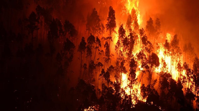 İsveç'te son 24 saatte 80 yerde orman yangını çıktı. (arşiv)