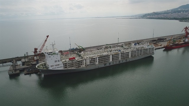 20 bin angusu Samsun'a getiren gemi pazartesi gününe kadar limanda olacak. 