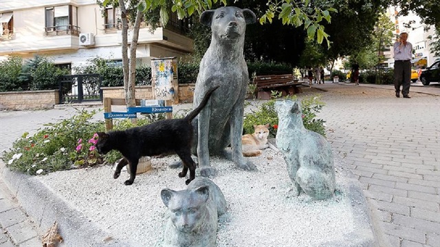 Ölen sokak hayvanları, Kadıköy'de Moda'nın simgeleri haline geldi. 