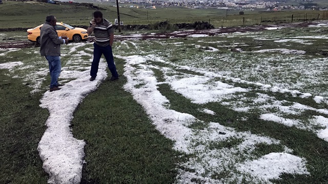 Ardahan merkez ve merkeze bağlı Tepesu Köyü arasında dolu yağışı etkili oldu.