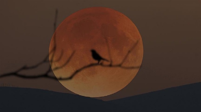 Dünya, cuma günü 21. yüzyılın en uzun "Kanlı Ay" tutulmasına tanıklık edecek.

