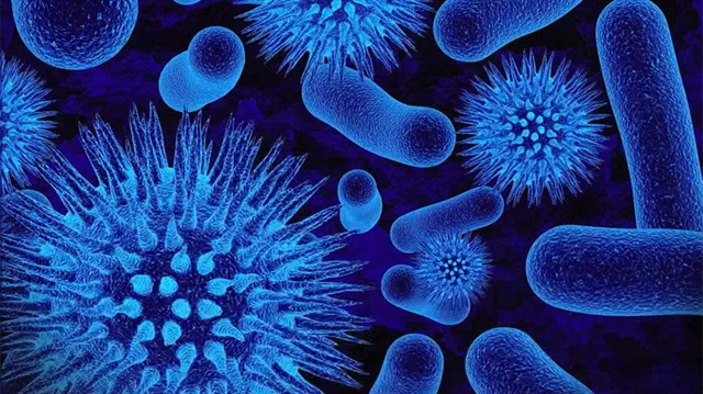Hepatit mikrobunu taşıyan yaklaşık 400 milyon kişiden 300 milyonu hastalığından habersiz.