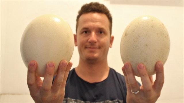 Deve kuşu yumurtasının tanesi 100 TL'den yavruları ise 500 liradan satılıyor.