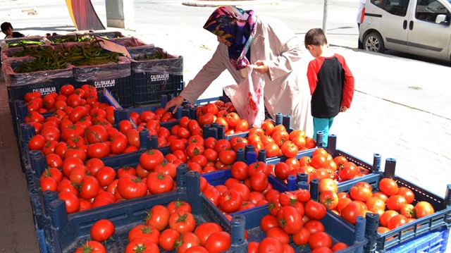 Temmuz ayında fiyatı en çok artan ürün domates oldu.