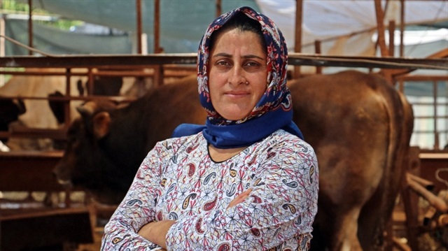 Girişimci Fatma Öncel, Kurban Bayramı öncesi 1 ayda 16 tona yakın hayvan satarak 350 bin lira gelir elde etti. 