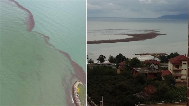 Ordu'da yaşanan sel felaketinin ardından yollar çöktü, fındıklar denizde ada oluşturdu.