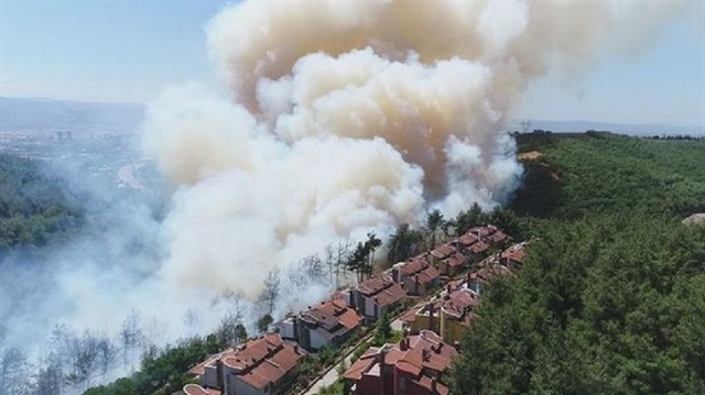 Bursa'da orman yangını