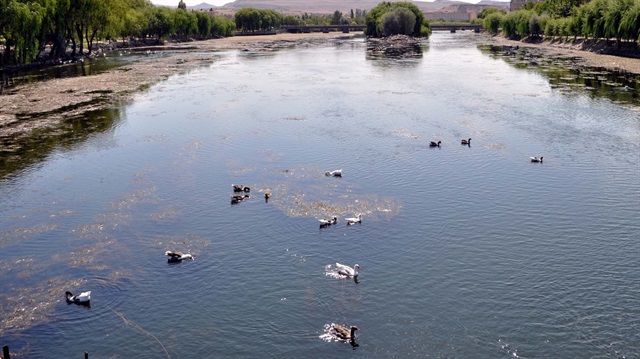 ​Türkiye'nin önemli su kaynaklarından Kızılırmak'ta su azaldı, kirlilik arttı...
