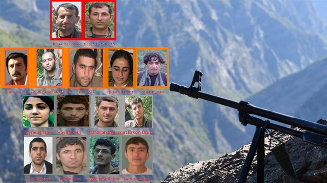 Güvenlik güçlerinin düzenlediği başarılı operasyonların ardından Tunceli'de üst düzey PKK'lılar öldürüldü.