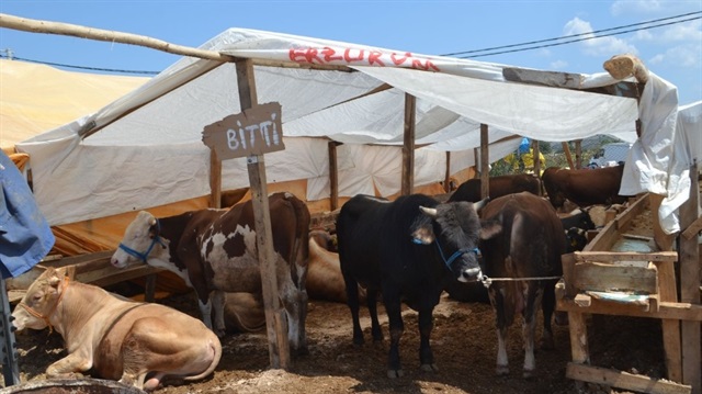 Bazı kurban pazarlarında hayvan satışı erken sona erdi.