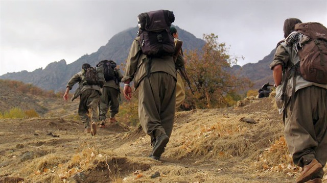 Van'da PKK'nın sözde sorumlusu yakalandı 