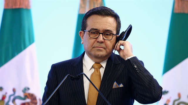 Mexican Economy Minister Ildefonso Guajardo
