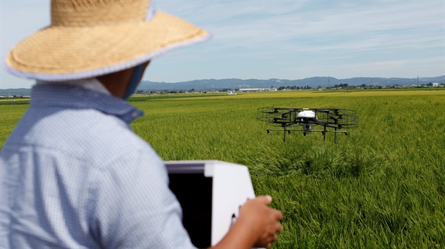 Nileworks Inc.'s automated drone flies over rice plants, spraying pesticide while diagnosing growth of individual rice stalks, during a demonstration in Tome, Miyagi prefecture Japan