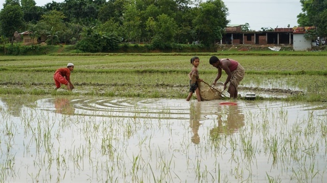 Rohingya refugees in Bangladesh