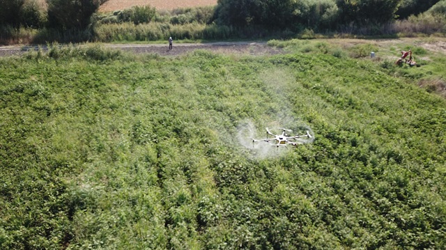 Ziraat yüksek mühendisi Nazım Şafak, birçok alanda faydalanılan drone'u tarımsal ilaçlamada kullanmaya başladı.