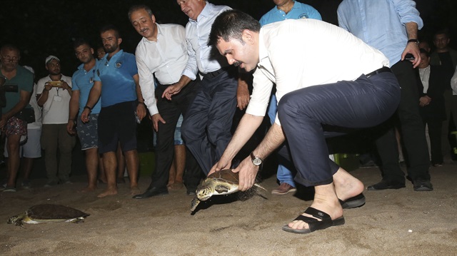 Bakan Kurum, İztuzu Kumsalı’ndaki Deniz Kaplumbağaları Araştırma, Kurtarma ve Rehabilitasyon Merkezini ziyaret etti.