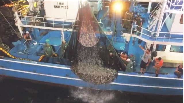 Türk su ürünleri sektörünün, Avrupa Birliği başta olmak üzere 80 ülkeye ihracat yapıyor