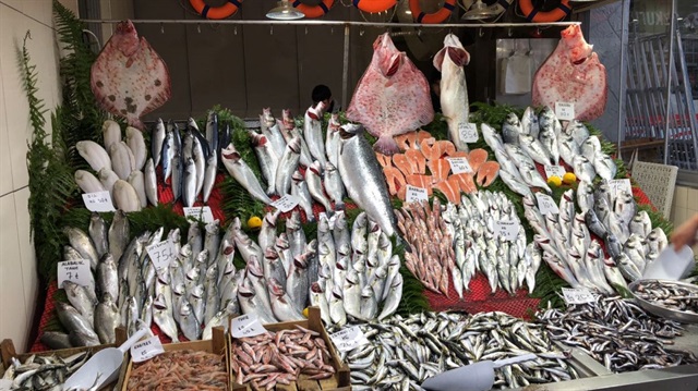 Balıkçılar, barbun, mezgit ve palamuttaki bolluğun vatandaşın cebine yansıyacağını belirtiyor.