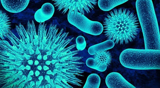 cocugunuza antibiyotik yerine ihlamur icirin yeni safak