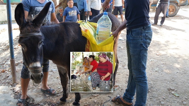 İzmir'de su kesintisi nedeniyle mağdur olan vatandaşlar çözüm olarak eşeklerle su taşımaya başladı.