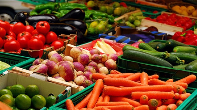 تركيا.. ارتفاع صادرات "إيجه" من الخضروات والفواكه 35 بالمئة