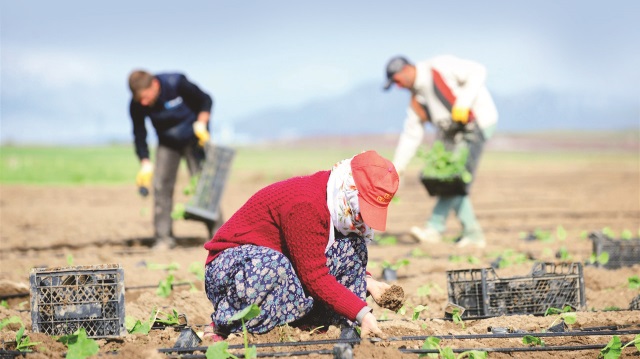 Bakanlık, tarım maliyetlerini düşürmek için yeni yöntemler geliştiriyor.