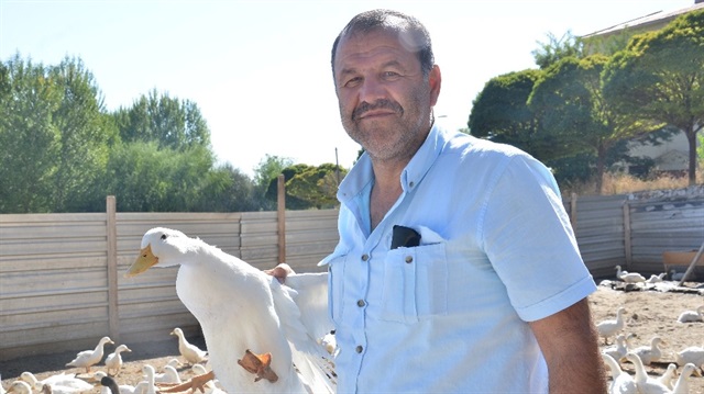 Kemal Doğan ve Sefa Seven isimli iki girişimcinin çiftliğinde bin 500 ördek bulunuyor.