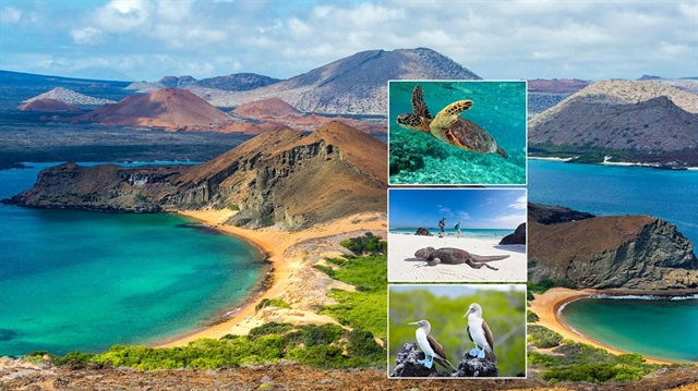 Galapagos, 1978 yılında UNESCO Dünya Kültür Mirası listesine alındı.