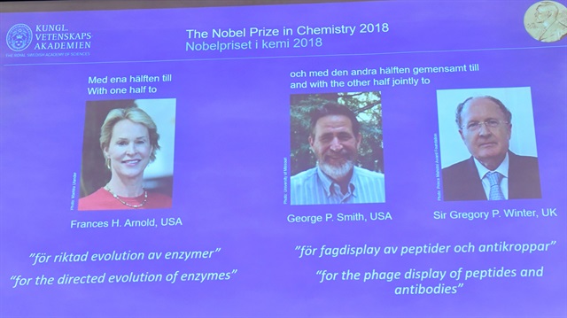 Pictures of the 2018 Nobel Prize laureates for chemistry: Frances H. Arnold of the United States, George P. Smith of the United States and Gregory P. Winter of Britain are displayed on a screen during the announcement at the Royal Swedish Academy of Sciences, in Stockholm, Sweden, October 3, 2018. 