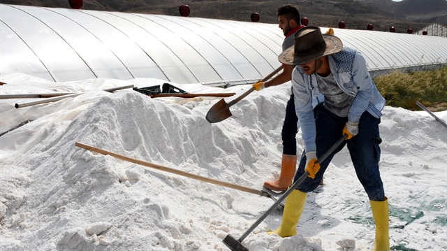 Delice'de üretilen tuz sera tipi havuzlarda suyun güneş ışınlarıyla buharlaştırılması sonucu oluşturuluyor.