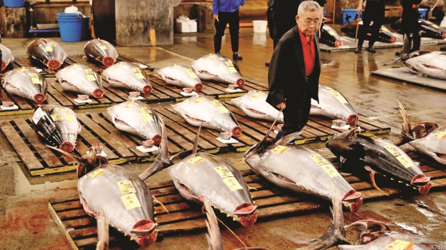 Tsukiji, 11 Ekim’de yeni yeri Toyosu’da açılacak.